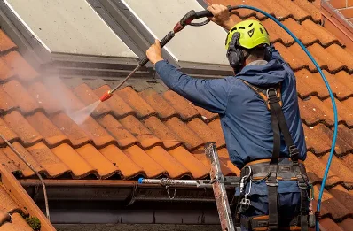 Démoussage et hydrofuge de toiture à Vellefrie